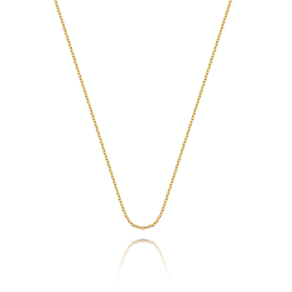 Casey Medium Classic Chain in 18ct Gold Vermeil