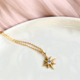 Lennox Crystal Star Necklace 18ct Gold Vermeil
